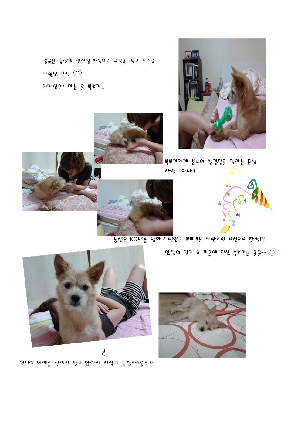 아름이가 변했어요~
