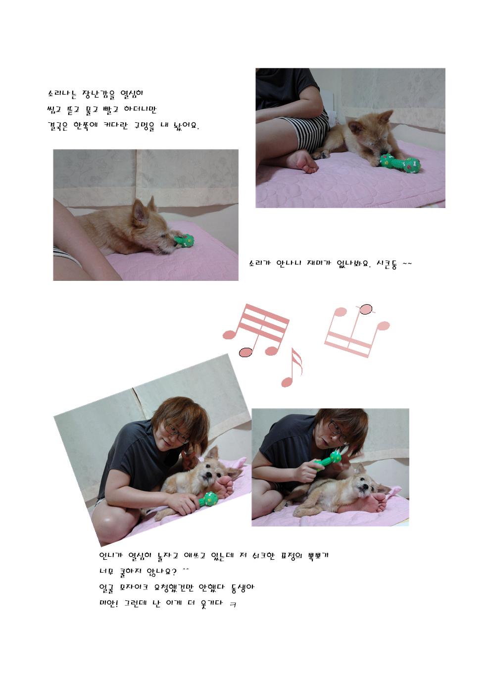 아름이가 변했어요~