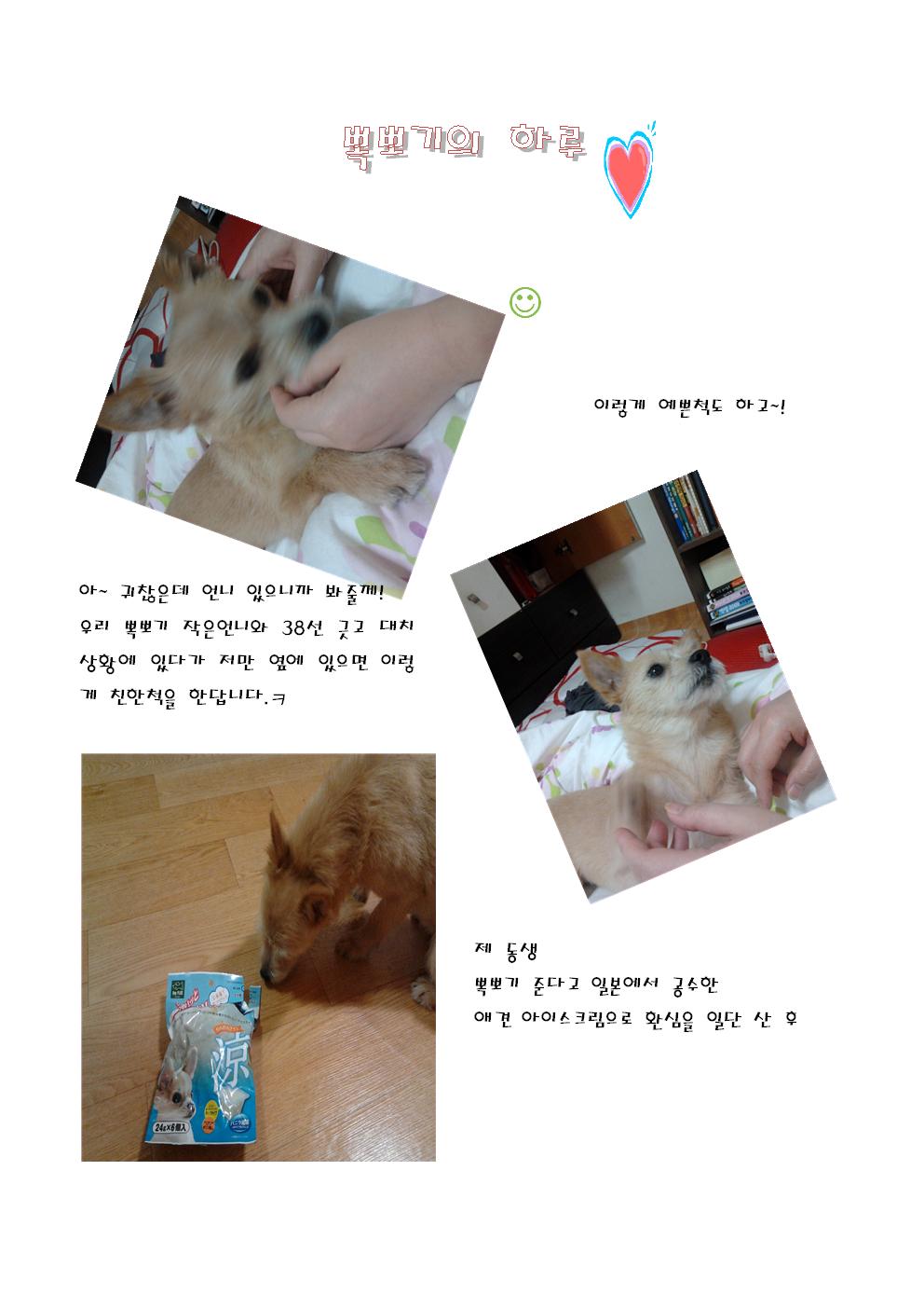 아름이가 변했어요~