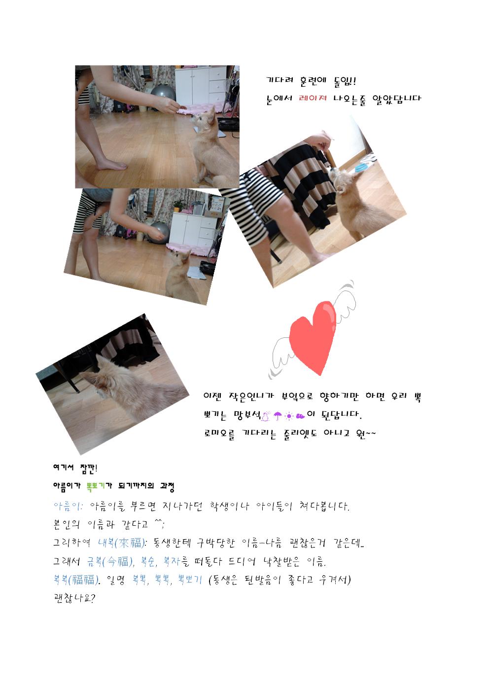 아름이가 변했어요~