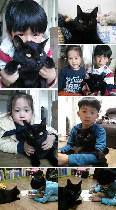 전화받는 천재고양이 이야후