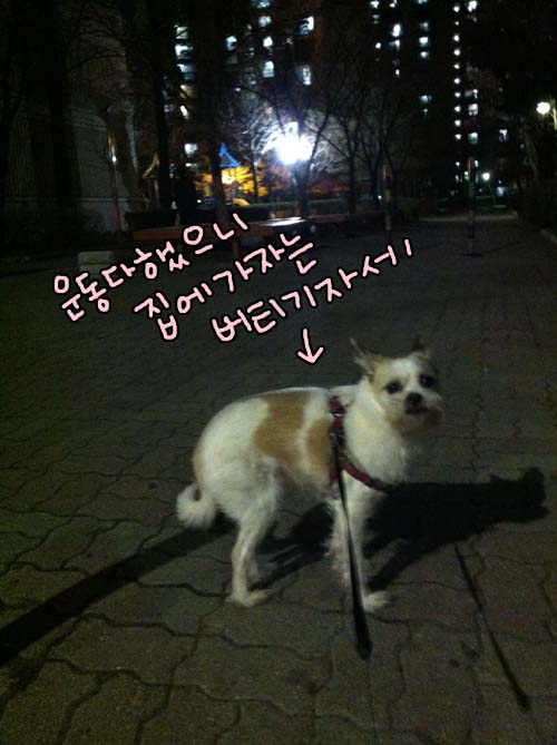 가양동에서 1년째. 하랑이 소식~