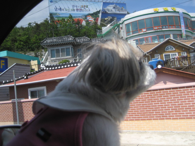 난 누구?