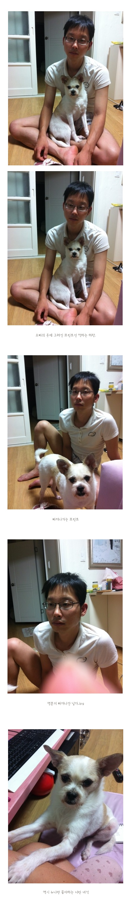 하랑이예요