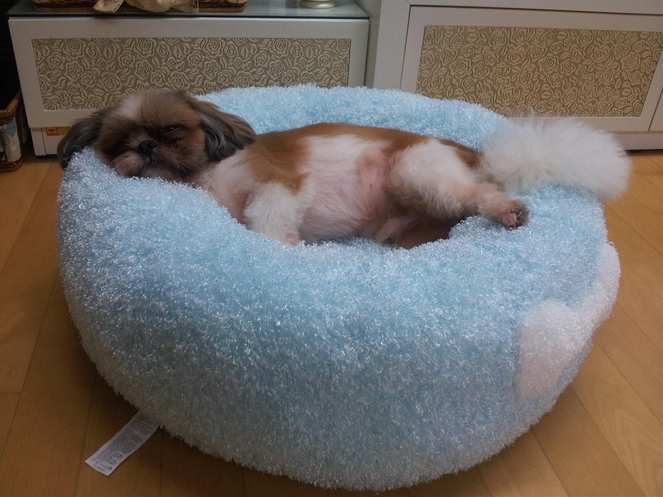 몽이 후기(3)