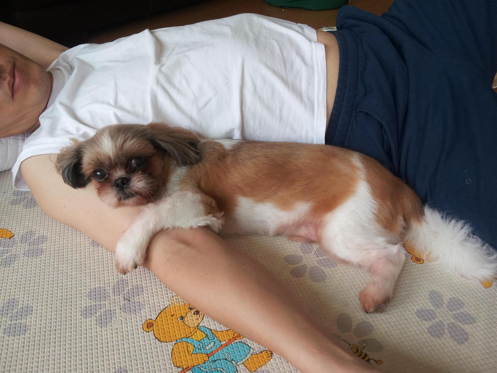 몽이 후기(3)