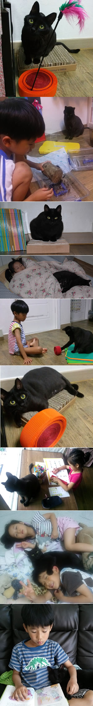 이야후 소식