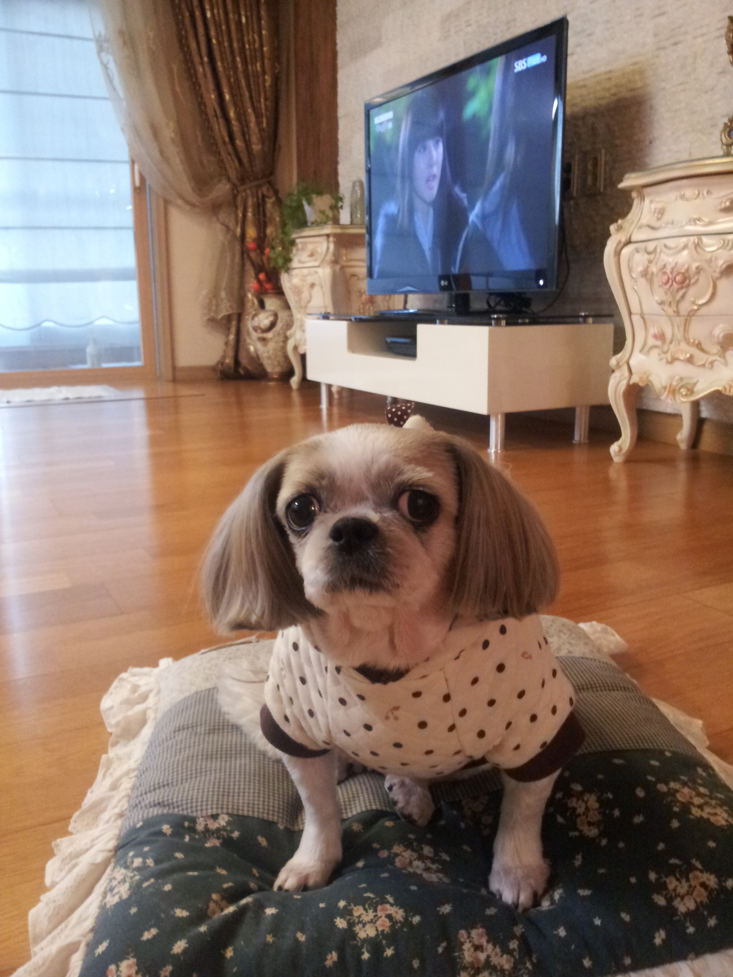 손닙 접대도 잘해요