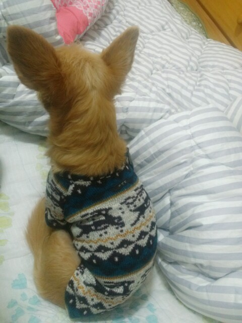 겨울준비