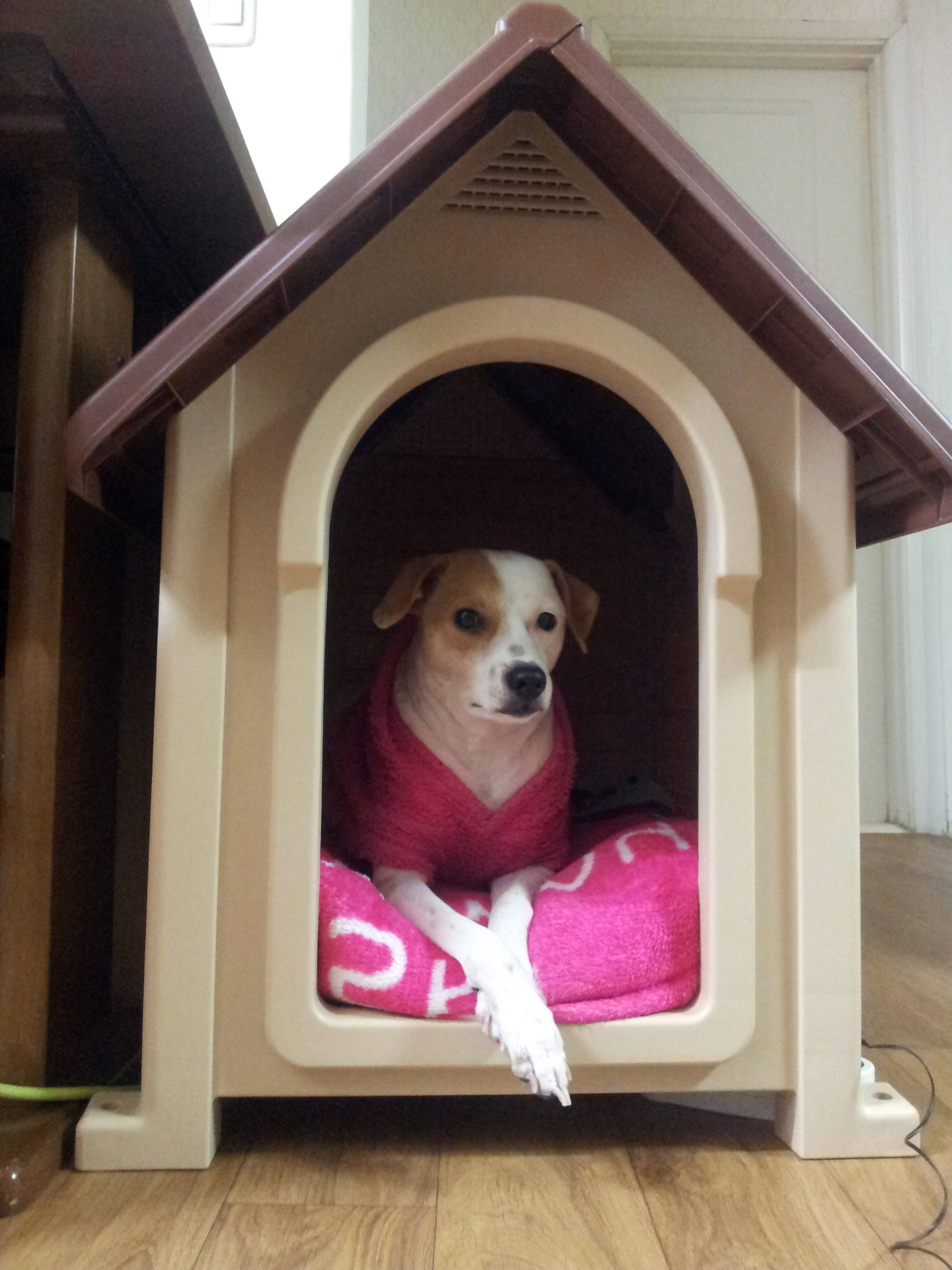 이쁘니 새롬이집
