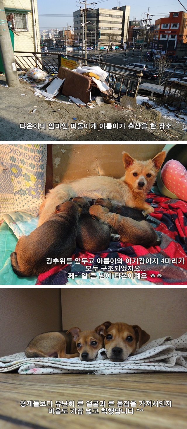 다온이 얘기였을 때 ~