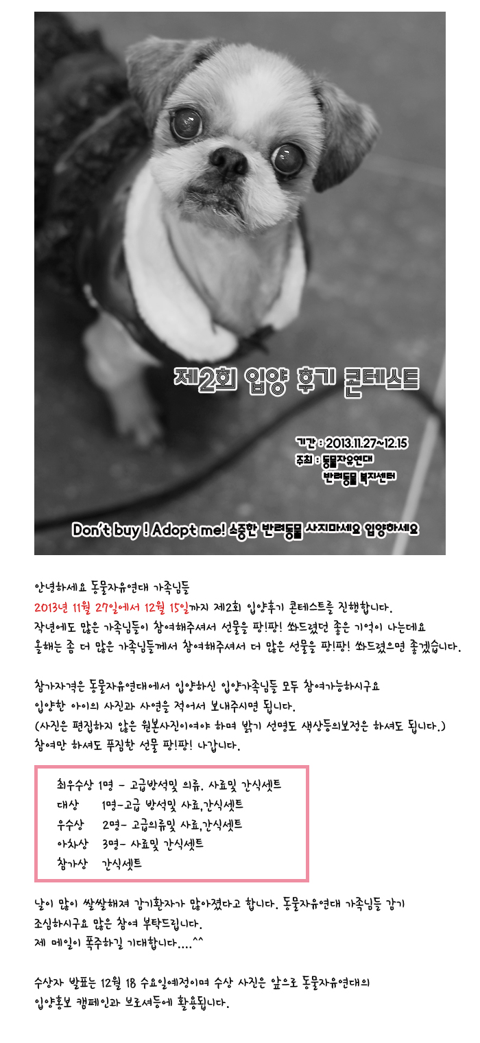 제2회 입양동물 후기 콘테스트를 진행합니다.