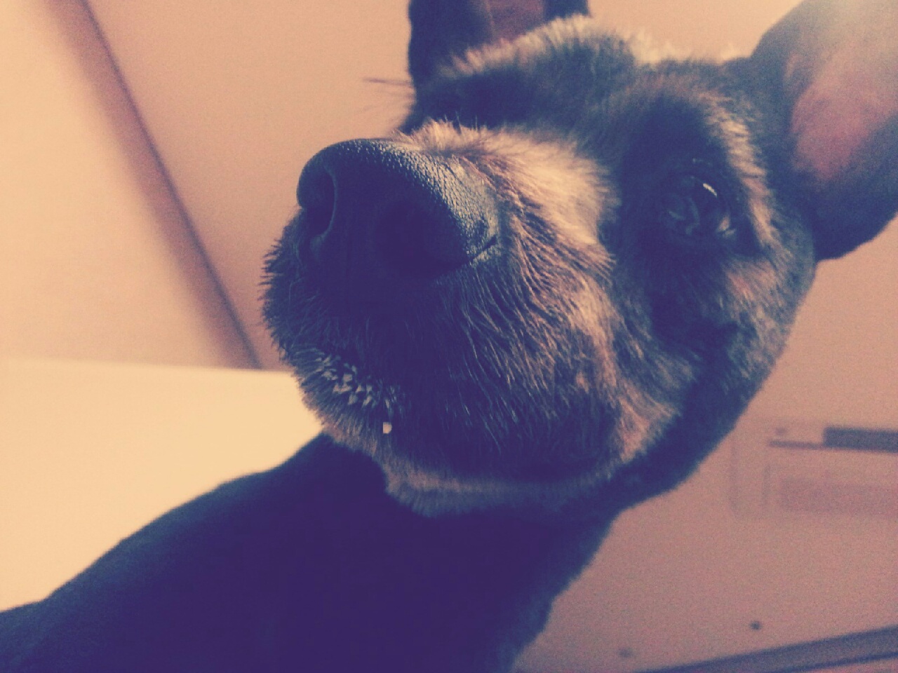 깜지 1년 넘었어요~