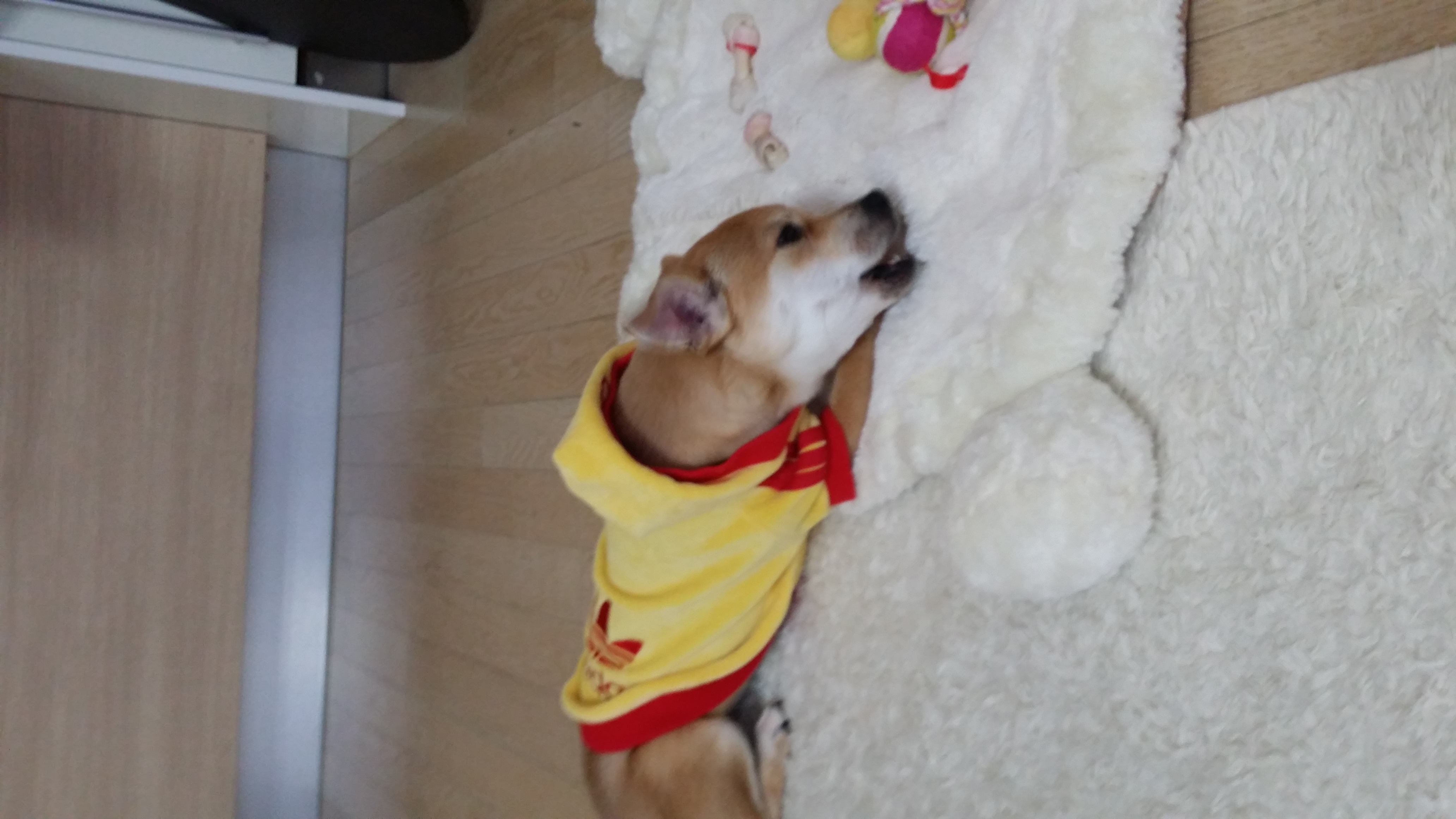 황이 후기1