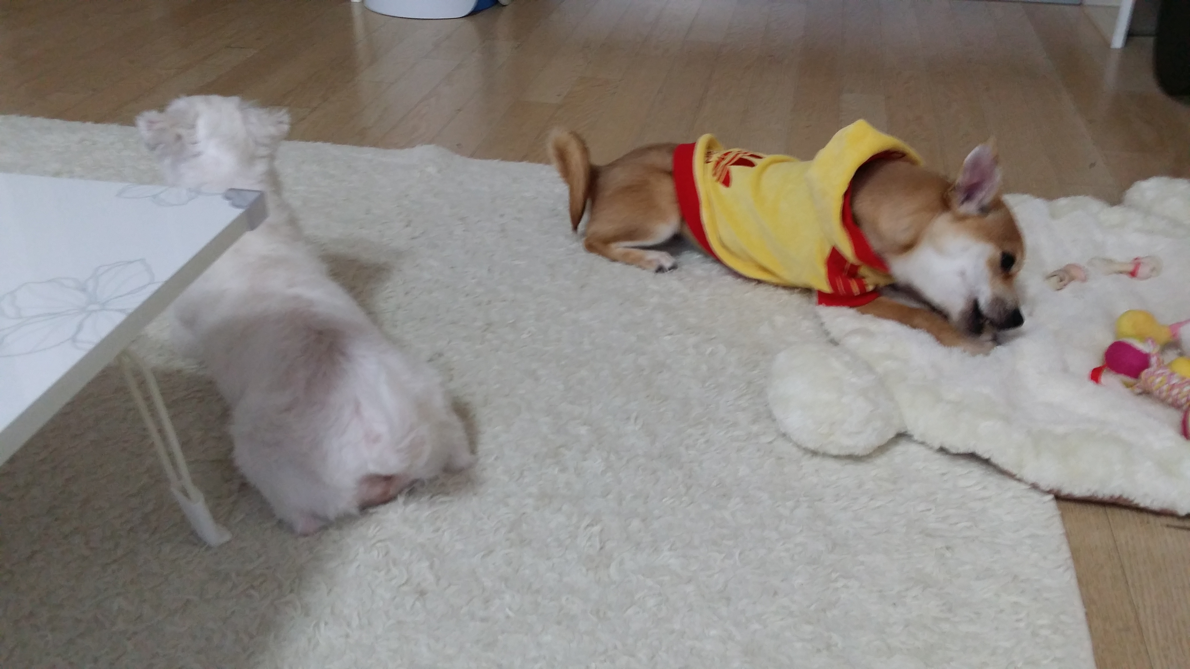 황이 후기1