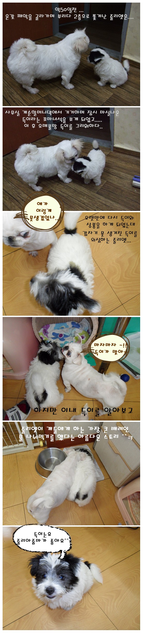 득이 행당동 시절에~~~~