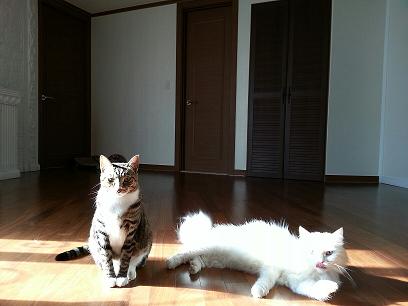 정말 오랜만에, 토비 근황입니다