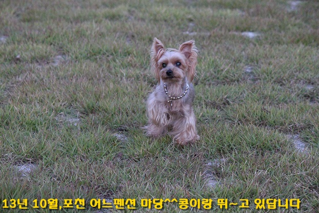 해탈(칸),콩이 가족된지 3년 