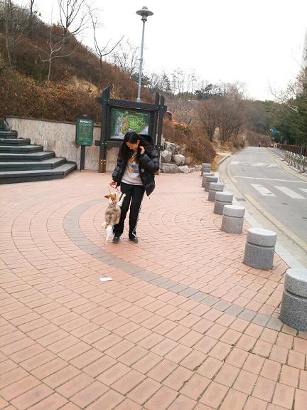 이쁜 콩이 두번째 후기에요~