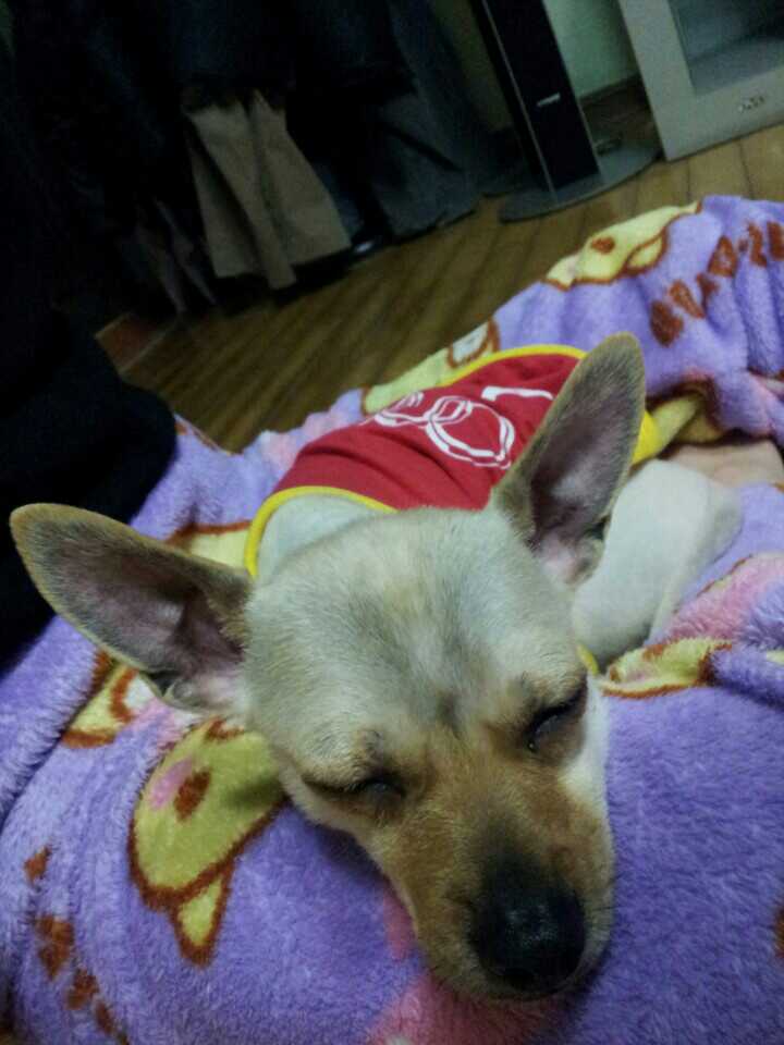 한달