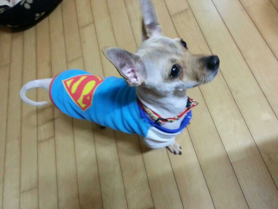 한달