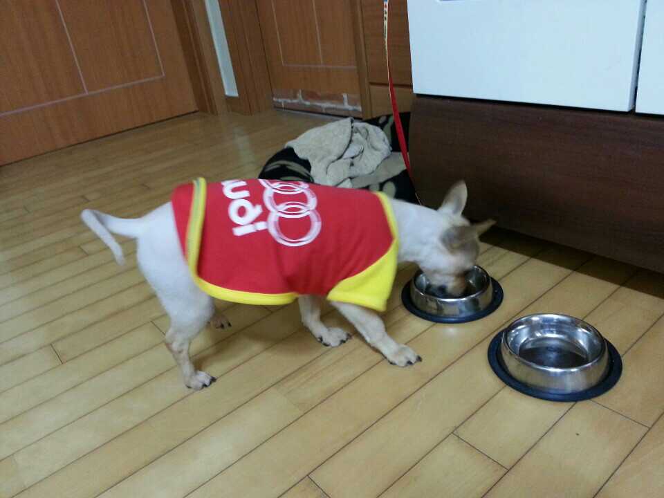한달