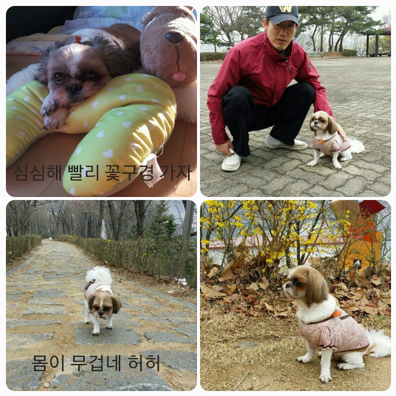 몽이의 일상~~