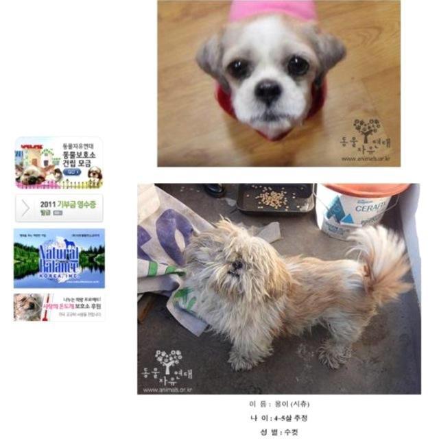 내사랑 용이~