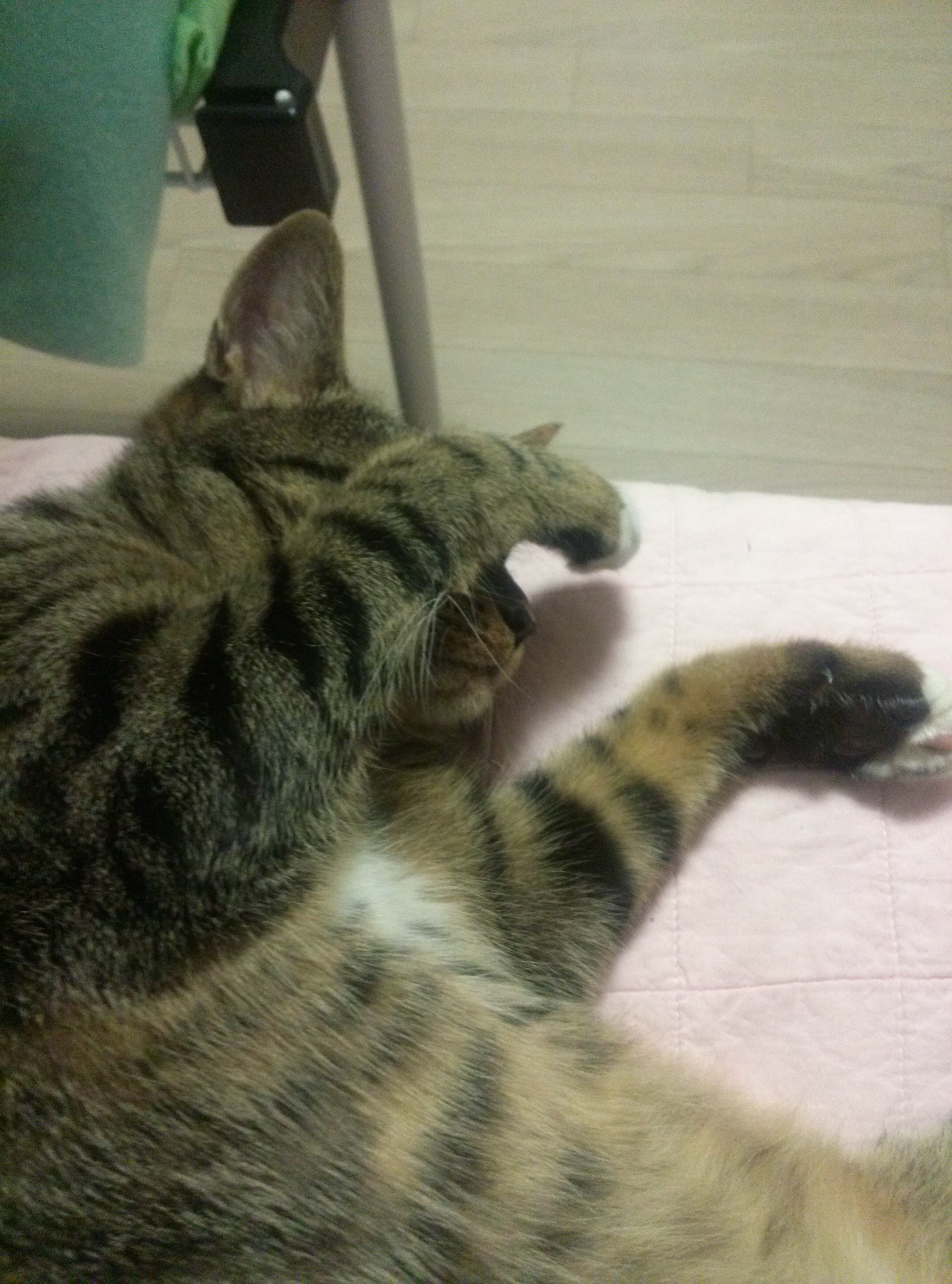 별이와 밤이