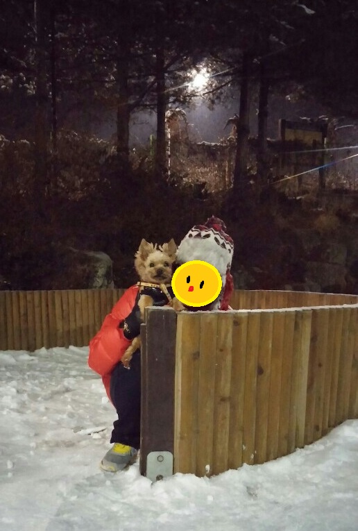 테리와 벌써 일년이네요^^ 