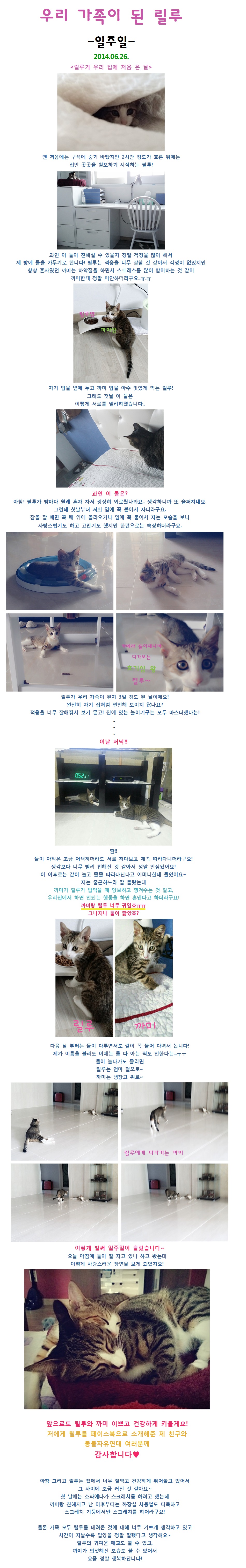 ♥릴루 입양후기♥