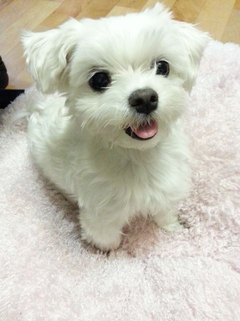 달이 페이스북 페이지를 만들었어요~