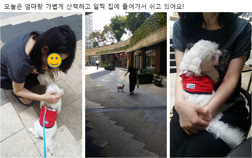 우리집에 온 건이 소식전합니다^^(입양후기)