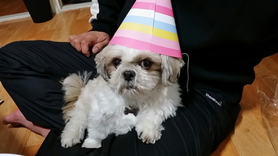 오랜만에 인사드려요 풍세네집입니다.