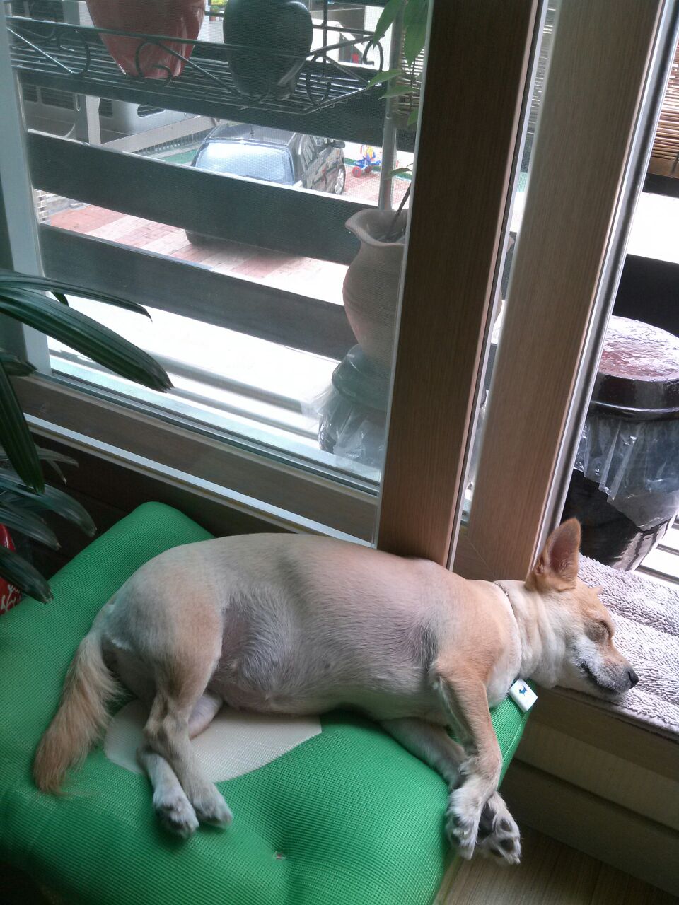 공주덕분에 많이 행복해요^^