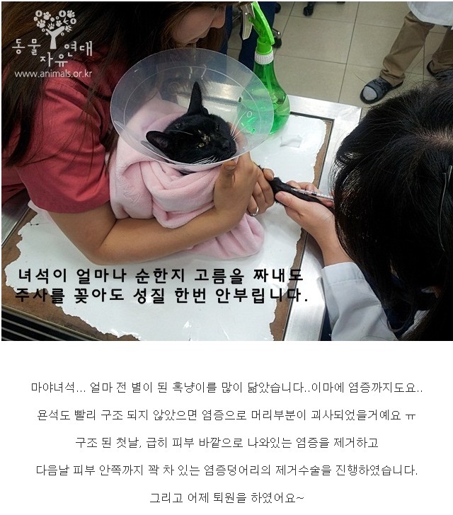 마야의 과거~