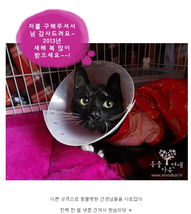 마야의 과거~