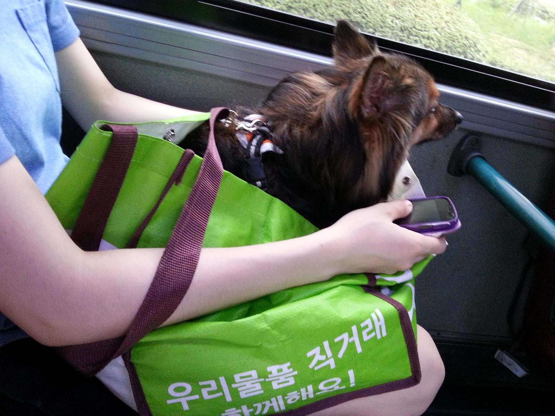 베를린 왔습니다.