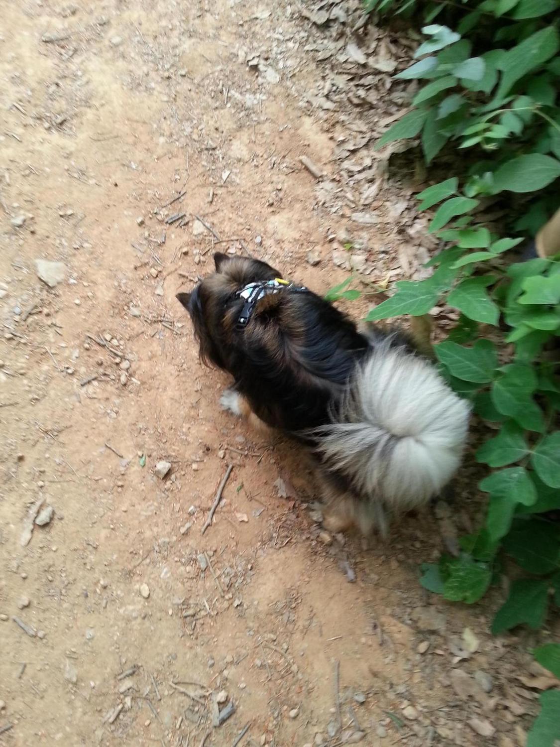 베를린 왔습니다.