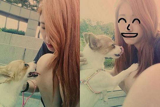 오랜만에 콩이 후기입니다^^