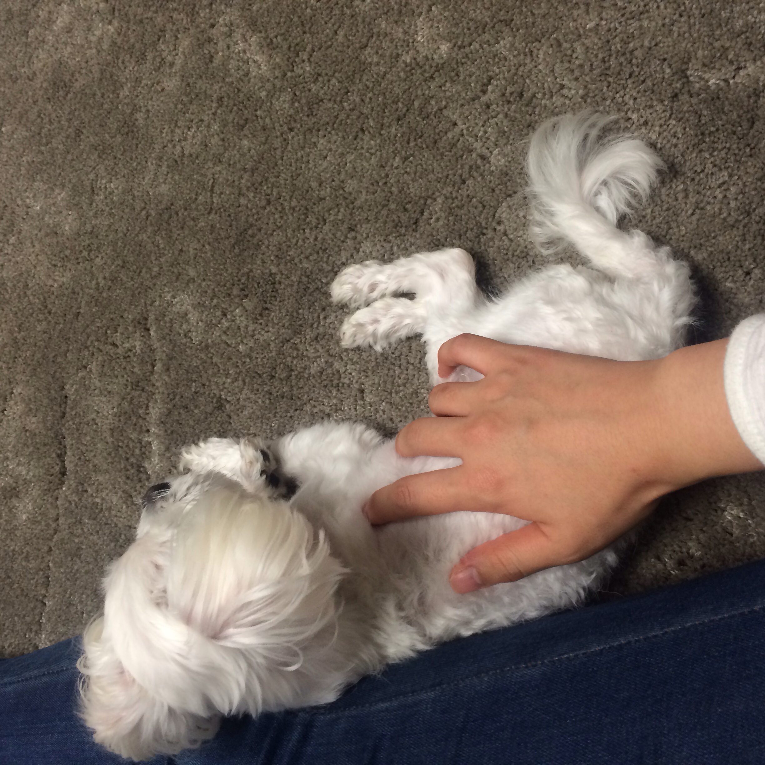 다롱이예요^^