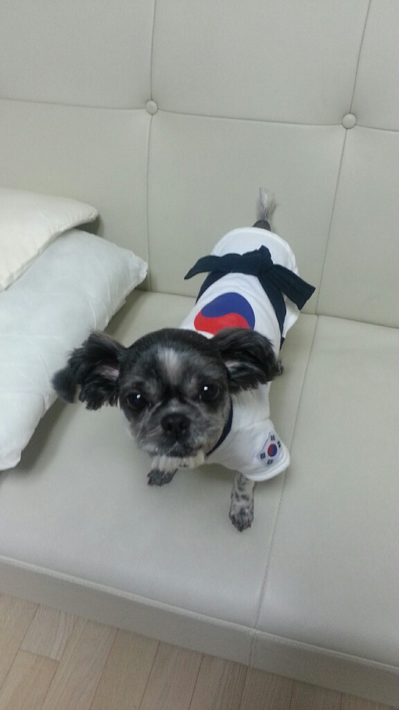 순이 입양 벌써 3달
