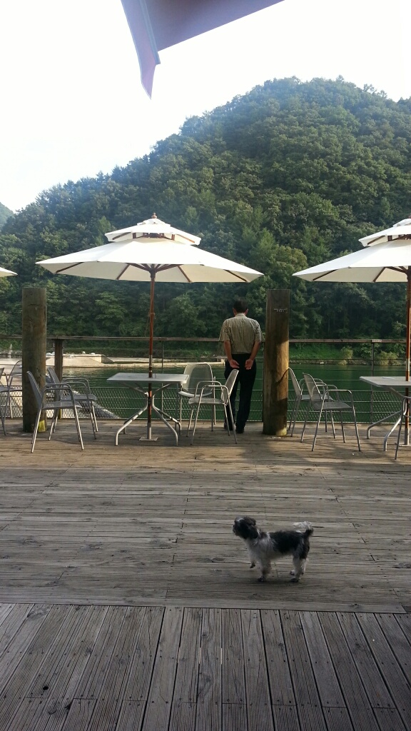 순이 입양 벌써 3달