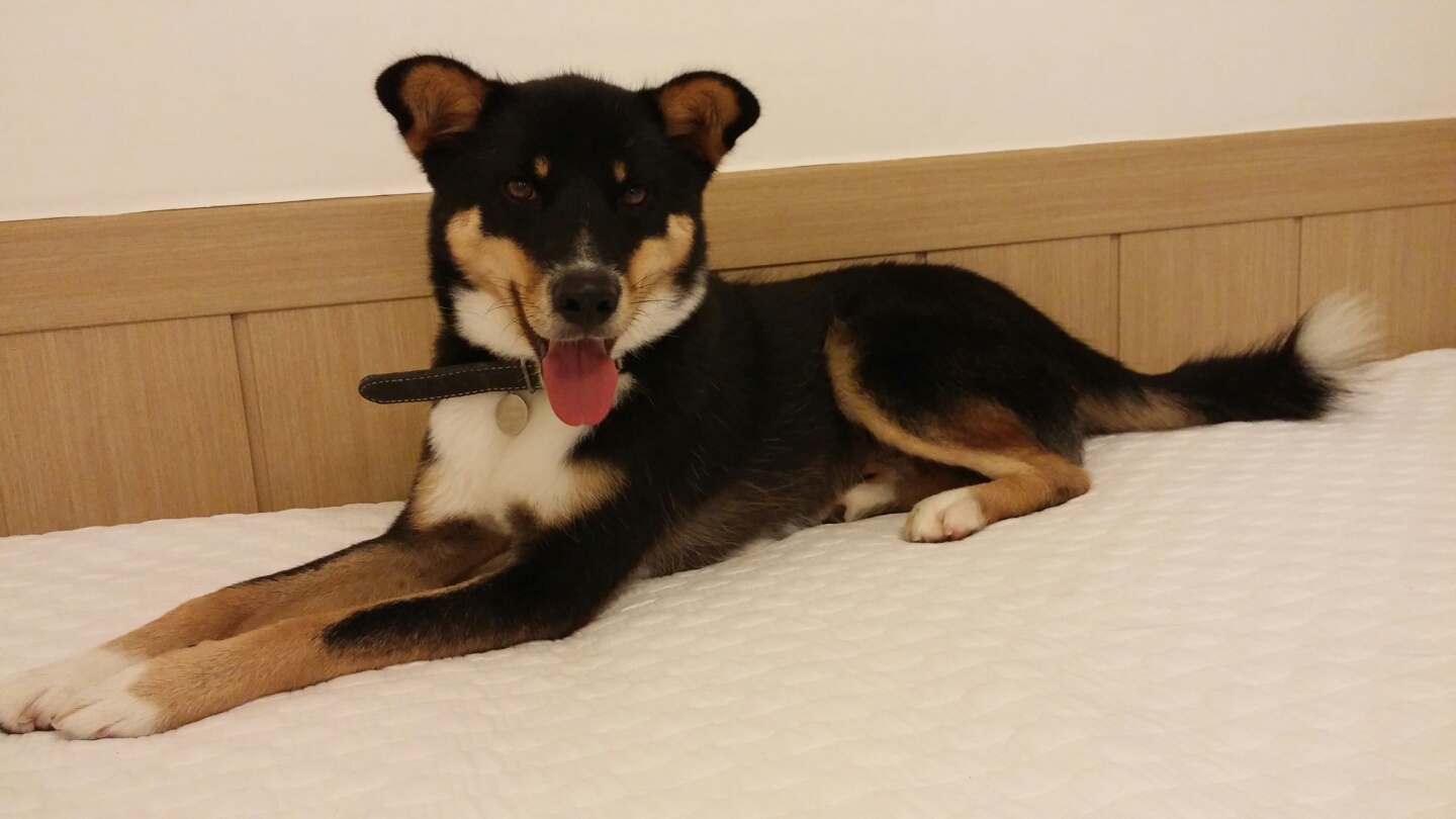 코코호두 왔어요~