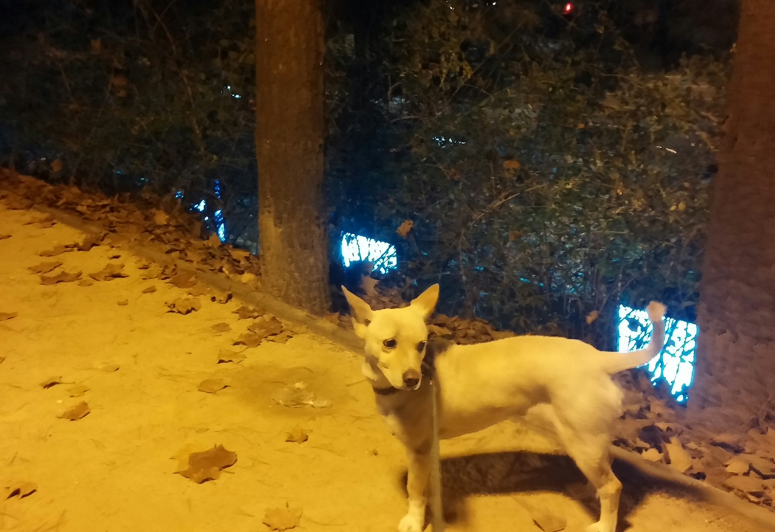 살랑이 오랜만에 왔습니다!