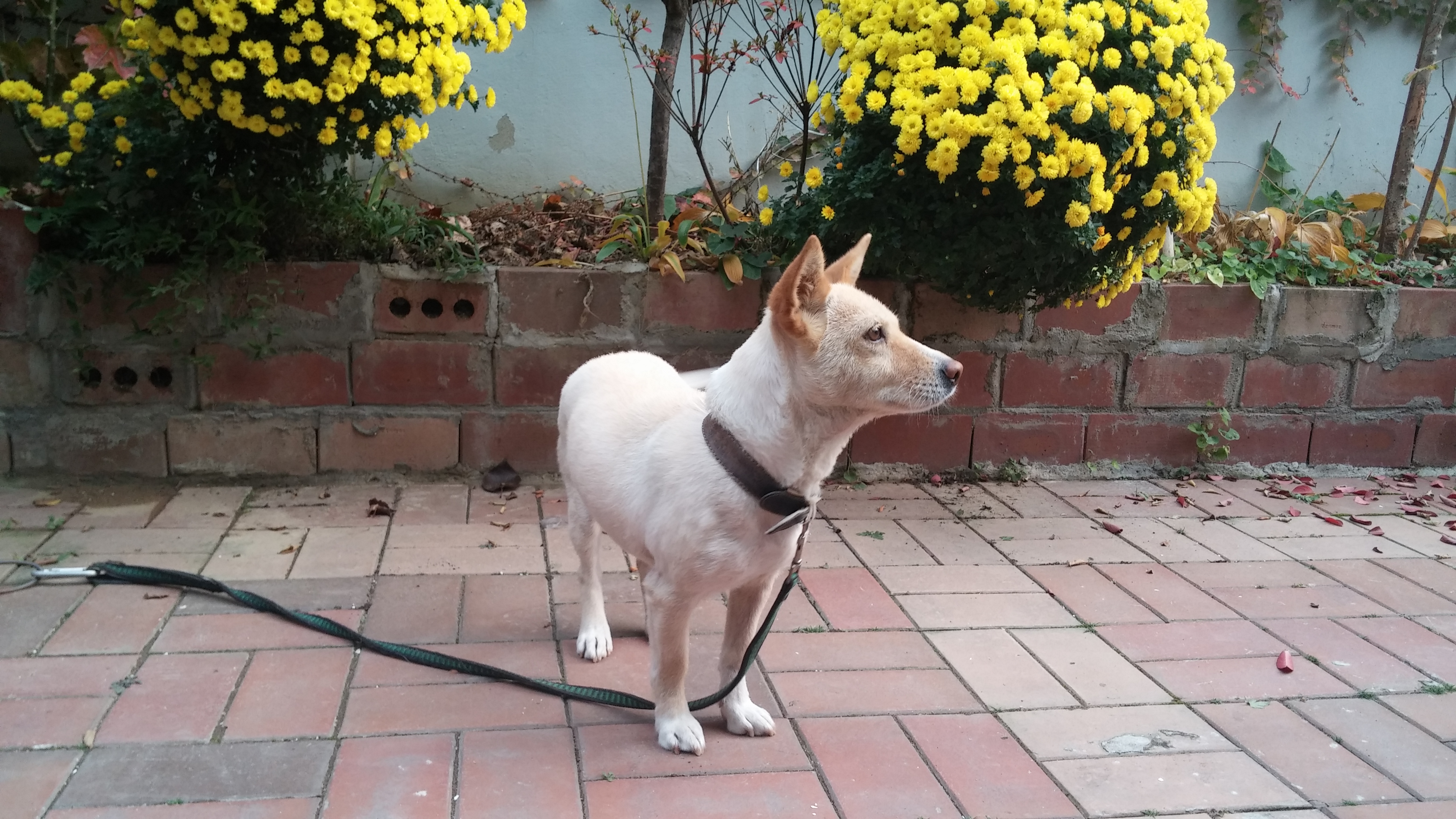 살랑이 오랜만에 왔습니다!