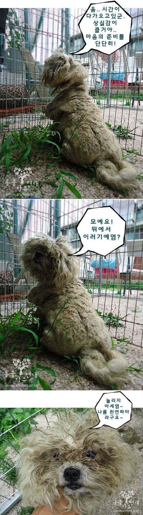 솔이의 과거 ^^;;