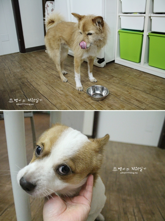 밥 잘 먹고 말썽도 좀...ㅋㅋㅋ