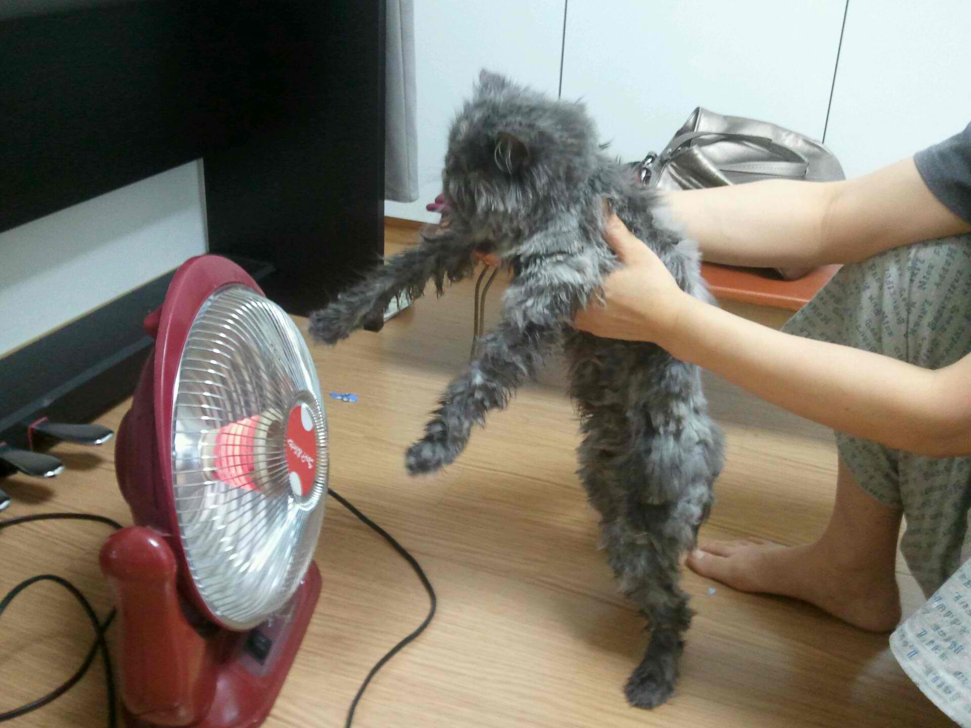 얄식이네 소식전해요! 