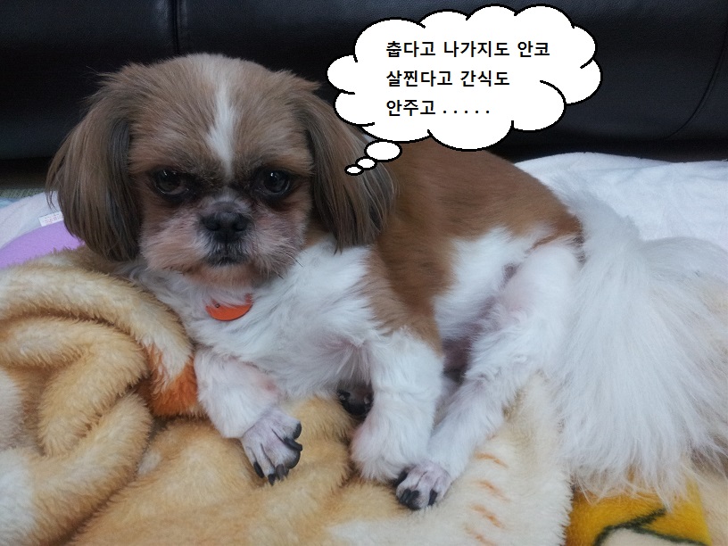 몽이네 입니다....